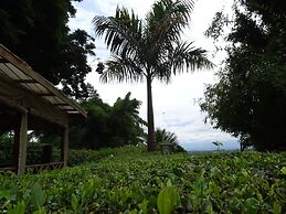 Le Pristine Wellness and Healing Hotel