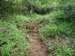 Le Pristine Wellness and Healing Hotel