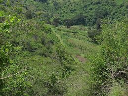 Le Pristine Wellness and Healing Hotel