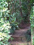 Le Pristine Wellness and Healing Hotel