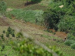 Le Pristine Wellness and Healing Hotel