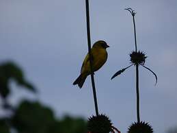 Le Pristine Wellness and Healing Hotel