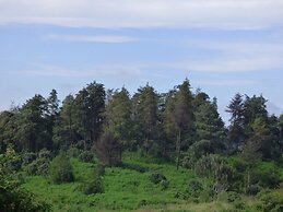 Le Pristine Wellness and Healing Hotel