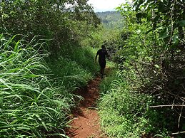 Le Pristine Wellness and Healing Hotel