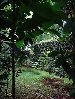 Le Pristine Wellness and Healing Hotel