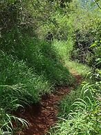 Le Pristine Wellness and Healing Hotel