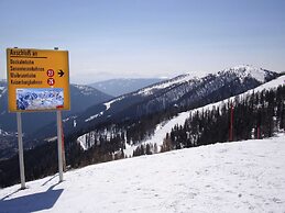 Spacious Apartment in Afritz am See near Ski Area