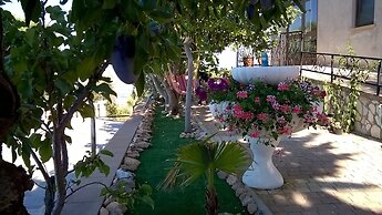 Agriturismo Vemi