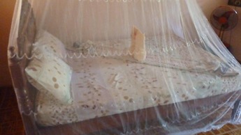 Coconut Garden Island Resort