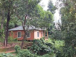 Jungle Valley Resort