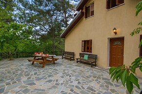 Persephone Cottage - Enhance Your Senses