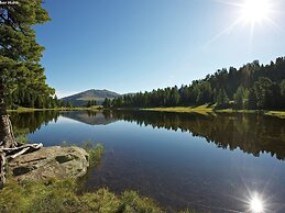 Lovely Chalet in Turracherhöhe with Sauna & Indoor Hot Tub