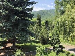 Vanadzor Armenia Hotel