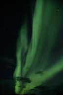 Raven Inn Whitehorse