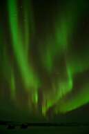 Raven Inn Whitehorse