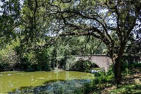 Spacious 5 Bedroom Near Magazine St & Uptown