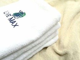 HOTEL LiVEMAX Kyoto Kamogawamae