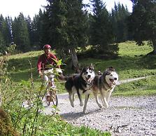 Hüttenhotel Husky Lodge