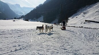 Hüttenhotel Husky Lodge