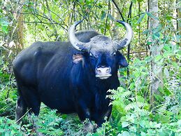 Sapana Village Lodge