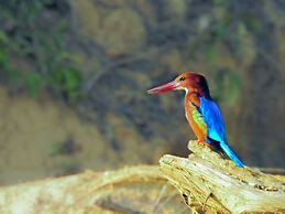 Sapana Village Lodge