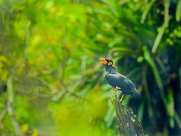 Sapana Village Lodge