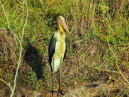 Sapana Village Lodge