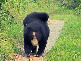 Sapana Village Lodge