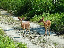 Sapana Village Lodge