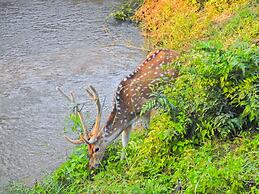 Sapana Village Lodge