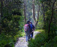 Sapana Village Lodge