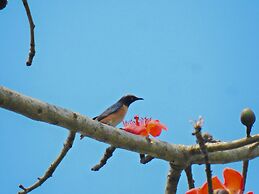 Sapana Village Lodge