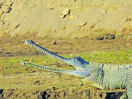 Sapana Village Lodge