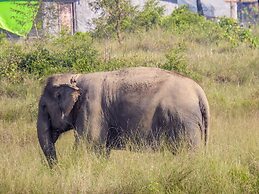 Sapana Village Lodge