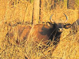 Sapana Village Lodge