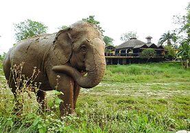 Sapana Village Lodge