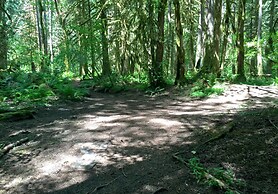 04SL - Hot Tub - BBQ - Pets OK - Sleeps 5