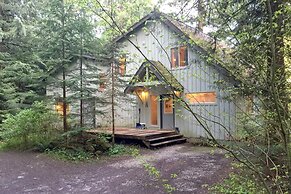 19MBR - Hot Tub - Sauna - BBQ - Pets Ok - WiFi - Sleeps 10