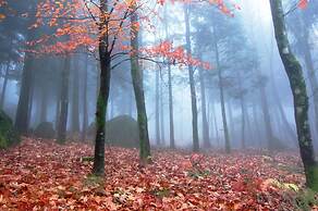 Hotel Rural da Freita