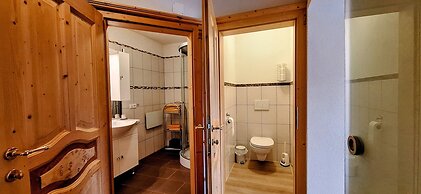 Schattaugut