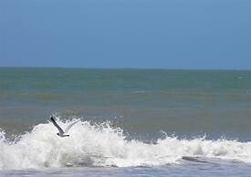 Hotel Gran International