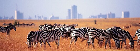 JKIA Airport side apartment