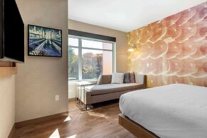 Cambria Hotel Manchester South Windsor