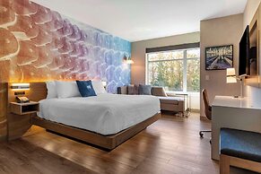 Cambria Hotel Manchester South Windsor