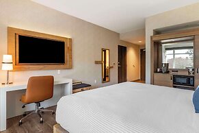 Cambria Hotel Manchester South Windsor