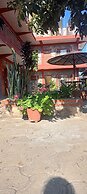 Pokhara Metro Eco Hotel - Hostel