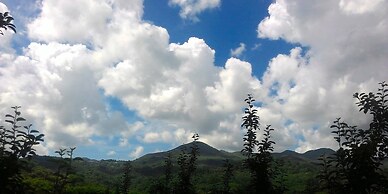 Agriturismo Il Melo