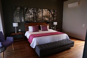 Gamma Rincón de Santiago