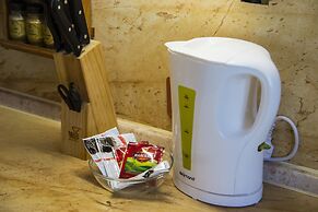 Apartment at Omsk historical center