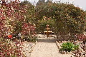 La Palmeraie De Massa